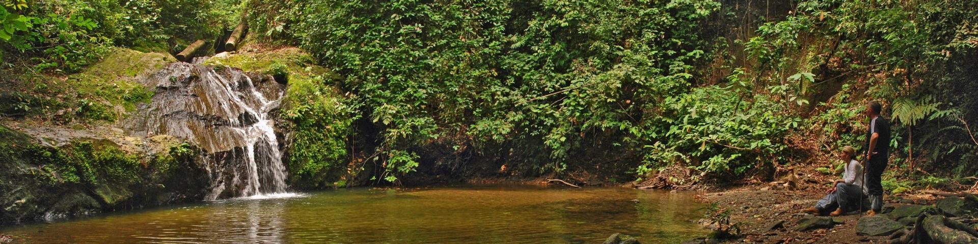 Luksusowa noc w sercu tropikalnego lasu 